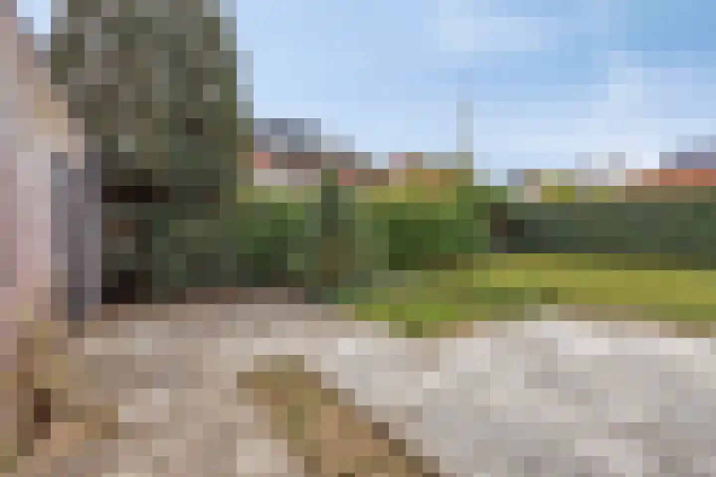 Landbouwlaan 178 Berghem thumbnail 21