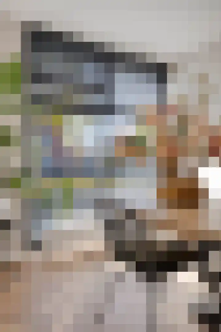 Landbouwlaan 185 Berghem thumbnail 19