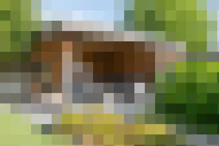 Landbouwlaan 185 Berghem thumbnail 51