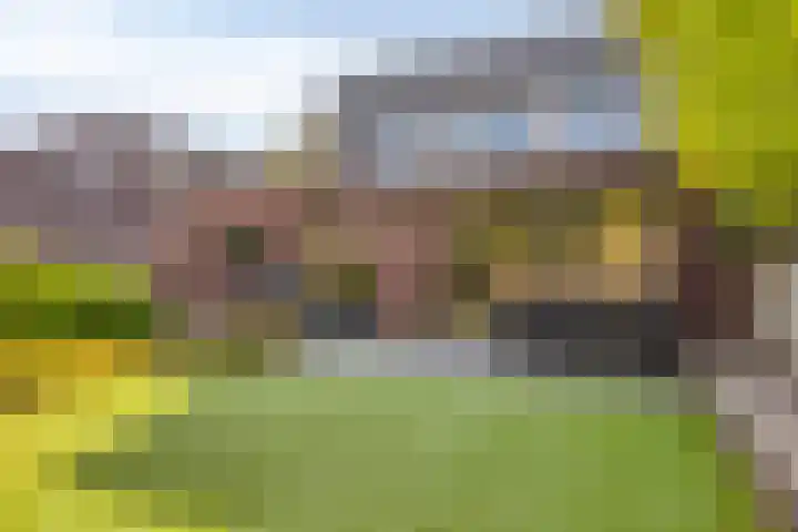 Landbouwlaan 185 Berghem thumbnail 53