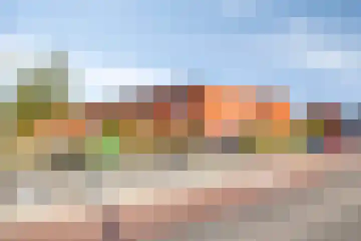 Landbouwlaan 185 Berghem thumbnail 61