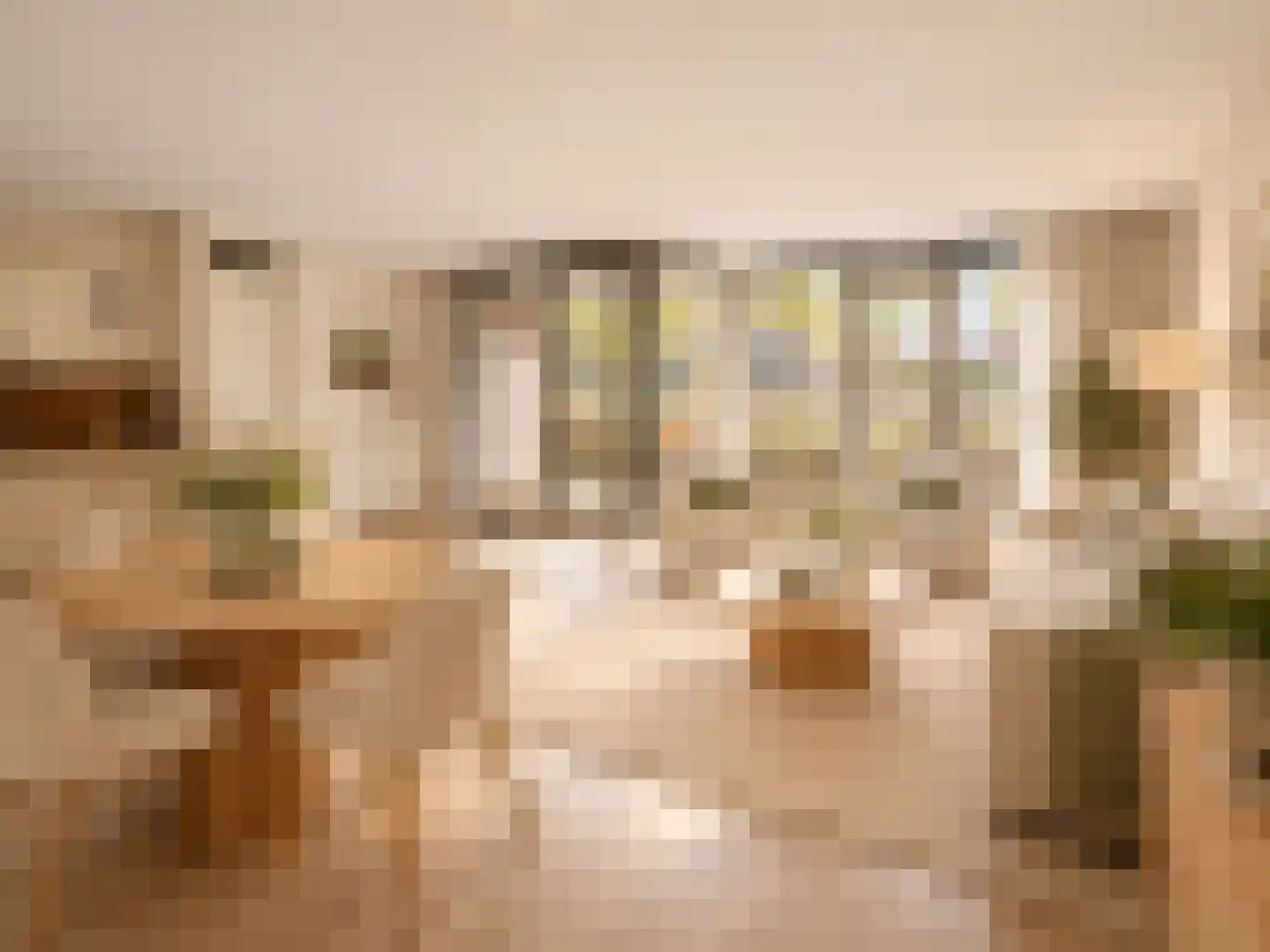 Landbouwlaan 198 Berghem thumbnail 16