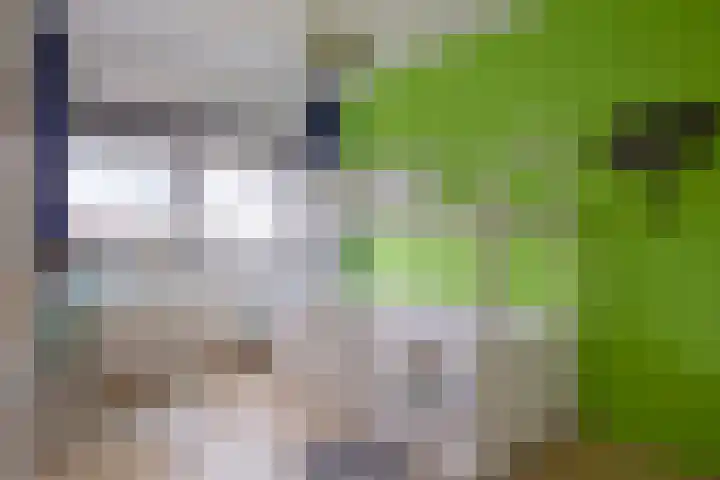 Landbouwlaan 215 Berghem thumbnail 12