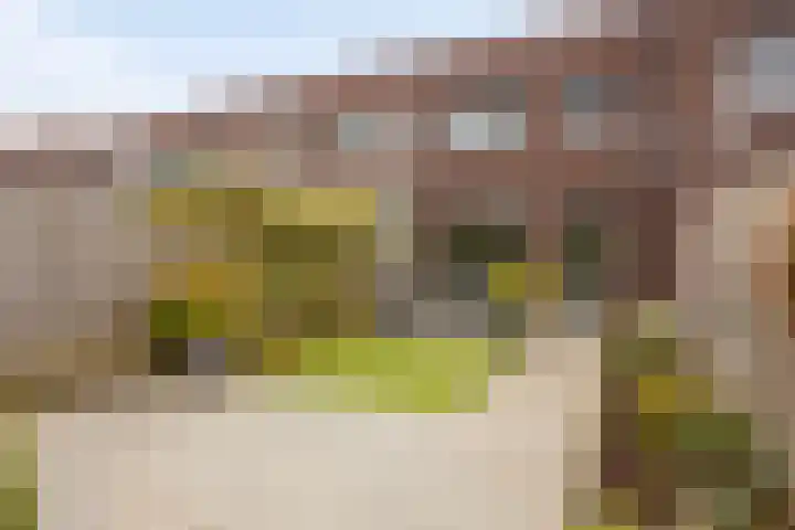 Landbouwlaan 215 Berghem thumbnail 17