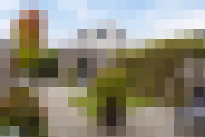Landbouwlaan 215 Berghem thumbnail 19
