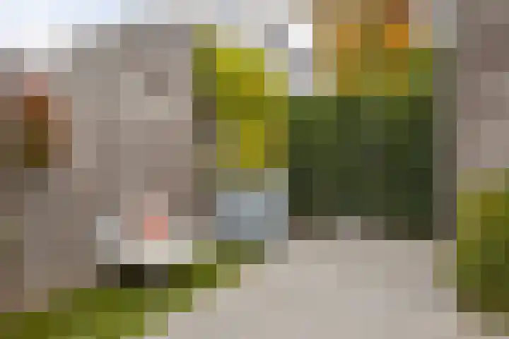Landbouwlaan 215 Berghem thumbnail 20