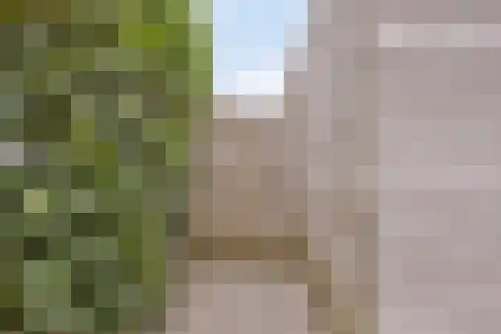 Landbouwlaan 215 Berghem thumbnail 21