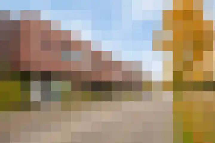 Landbouwlaan 215 Berghem thumbnail 23