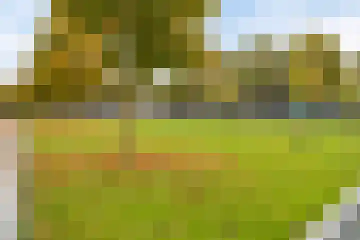 Landbouwlaan 215 Berghem thumbnail 24