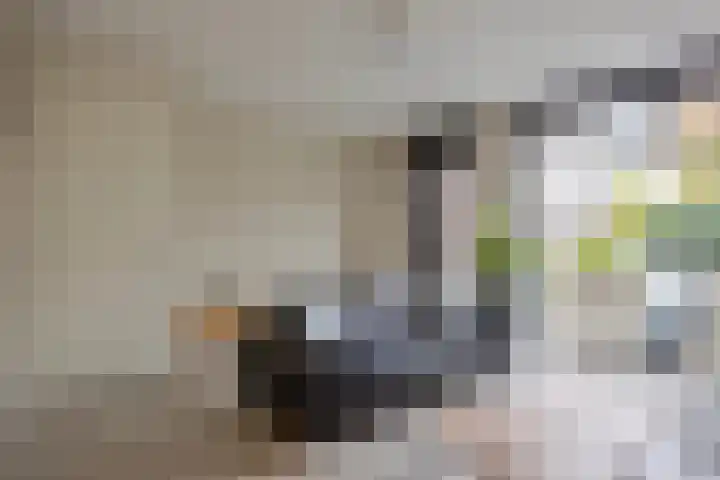 Landbouwlaan 215 Berghem thumbnail 5