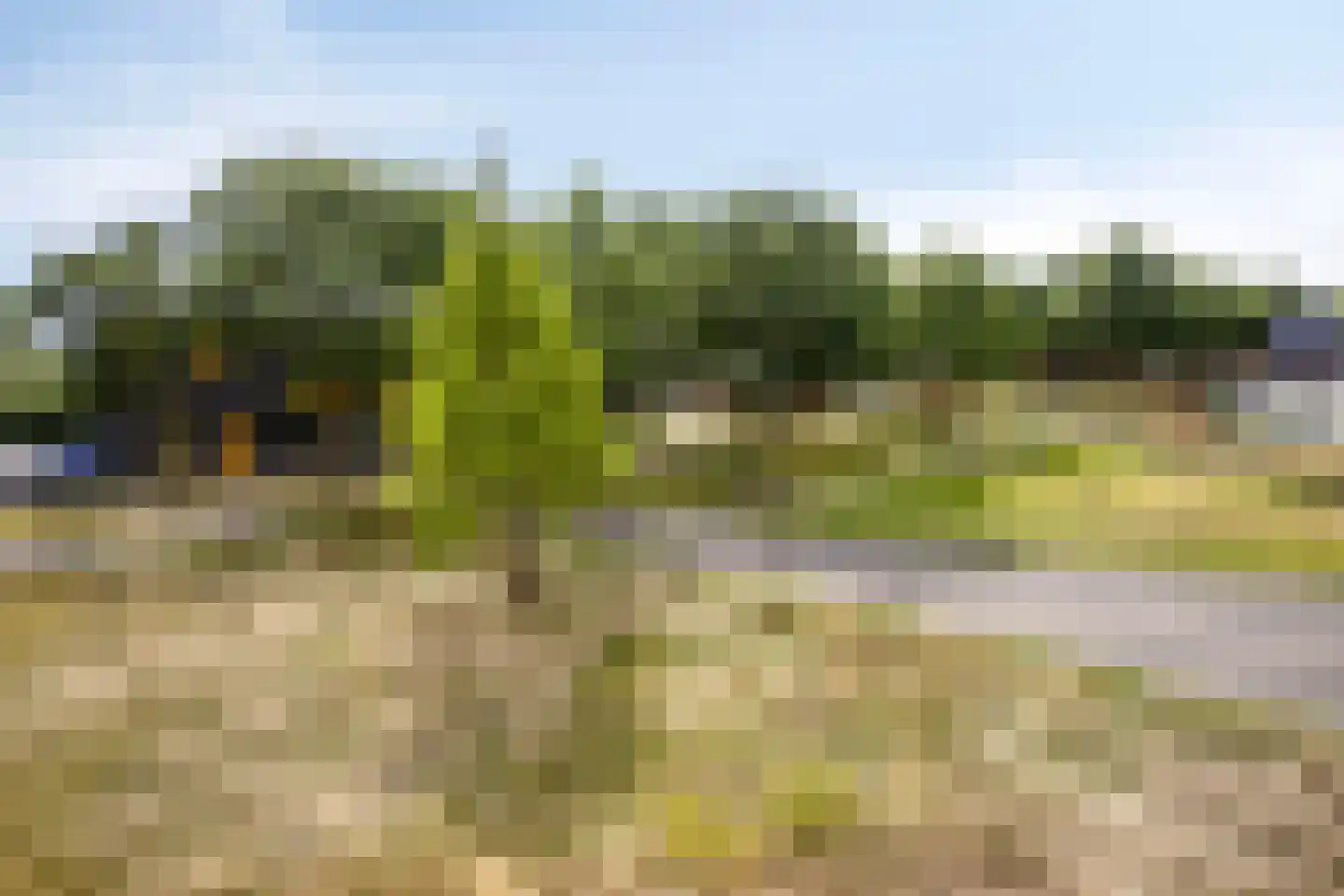 Landbouwlaan 220 Berghem thumbnail 22