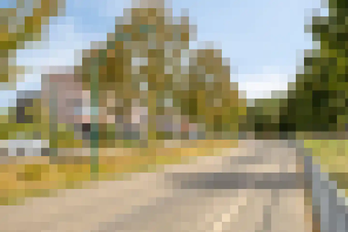 Landbouwlaan 220 Berghem thumbnail 31
