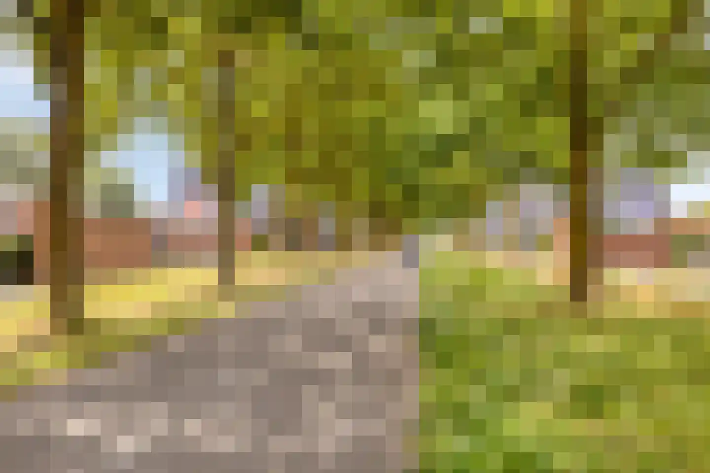 Landbouwlaan 220 Berghem thumbnail 32