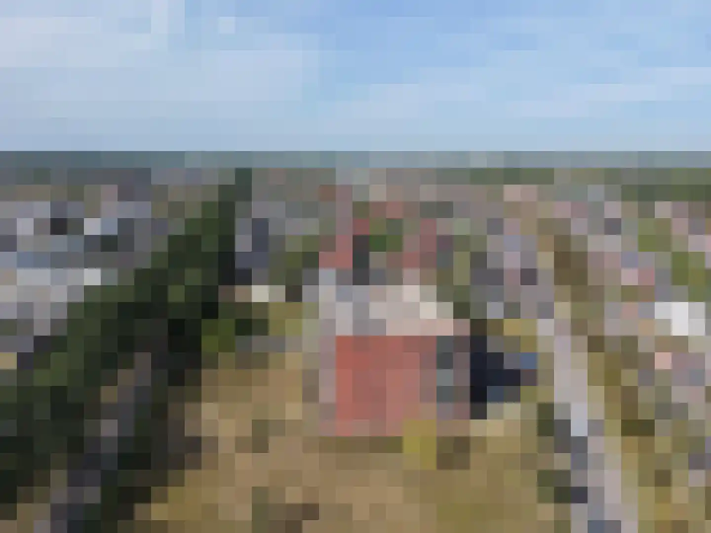 Landbouwlaan 220 Berghem thumbnail 41