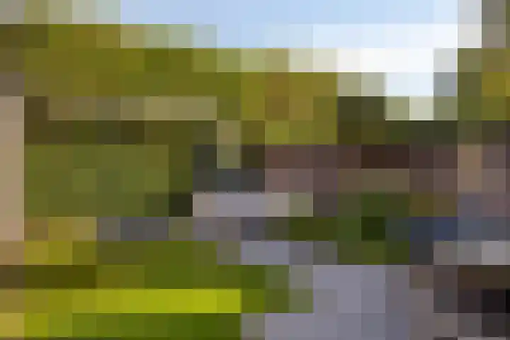 Landbouwlaan 231 Berghem thumbnail 32