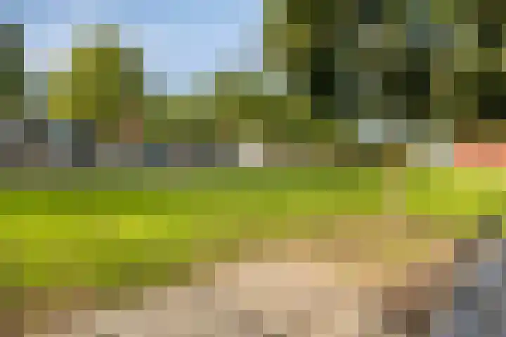 Landbouwlaan 231 Berghem thumbnail 39