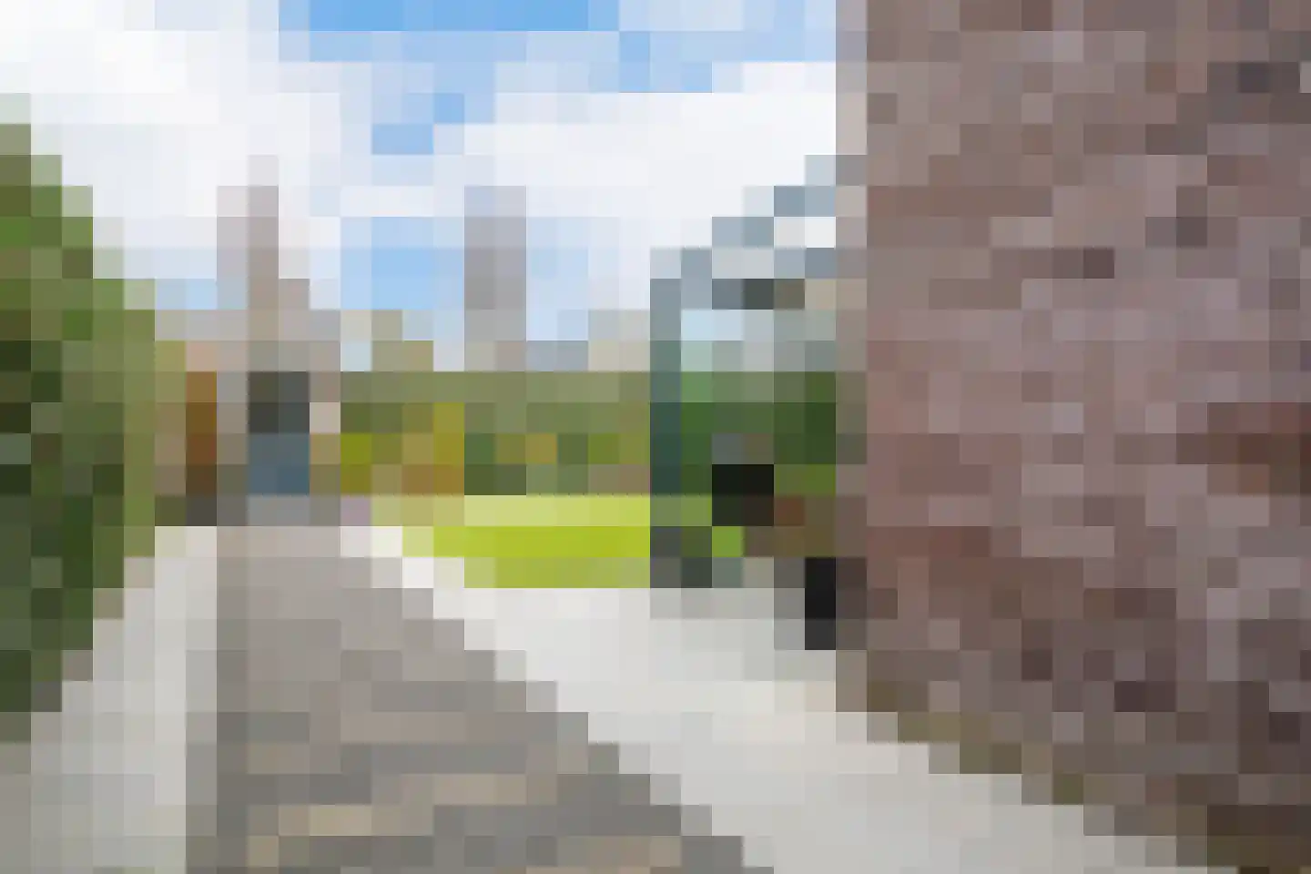 Landbouwlaan 91 Berghem thumbnail 31