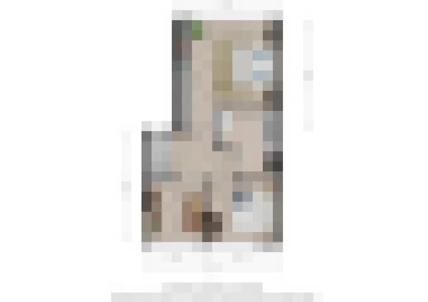 Landbouwlaan 91 Berghem thumbnail 33