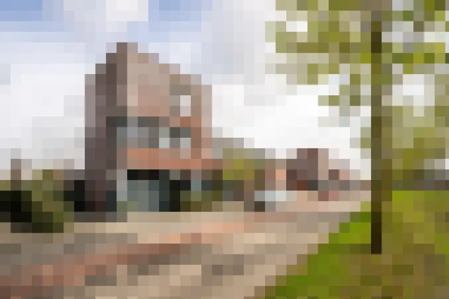 Landbouwlaan 91 Berghem thumbnail 5