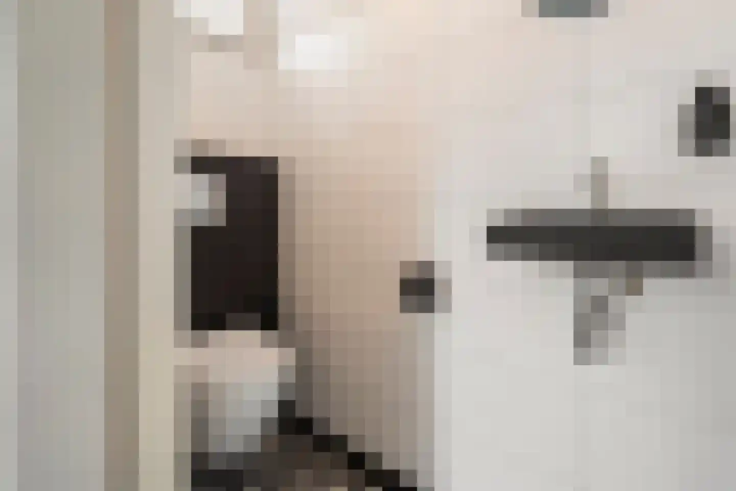 Landbouwstraat 13 Schagen thumbnail 7