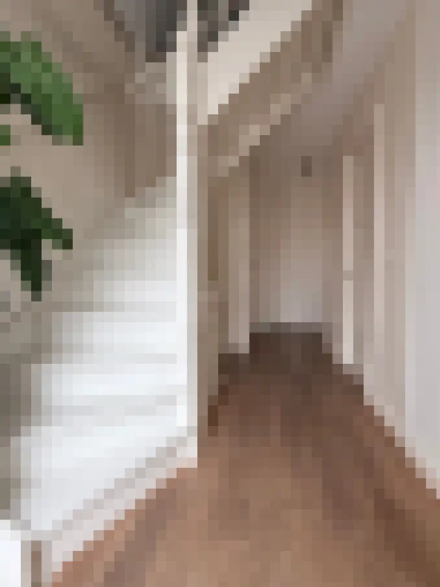 Landbouwstraat 17 Schagen thumbnail 18