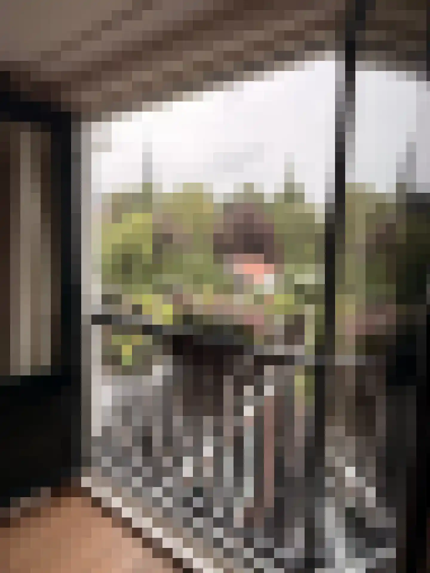 Landbouwstraat 17 Schagen thumbnail 23