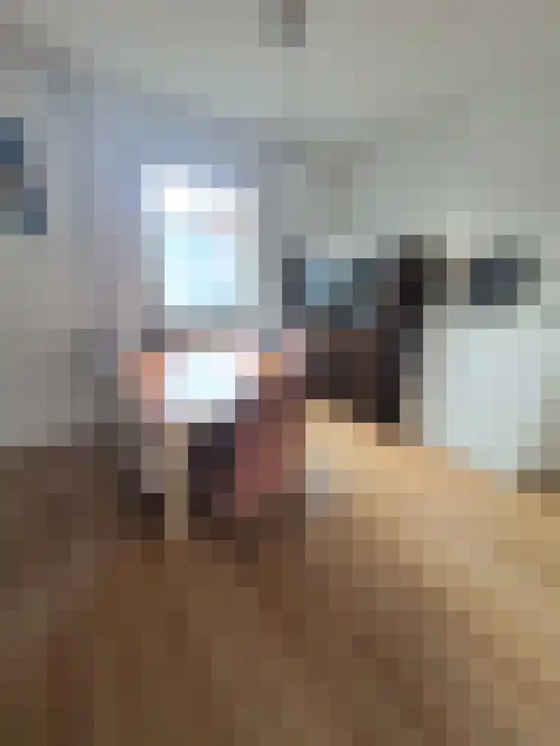 Landbouwstraat 2 IJzendijke thumbnail 5