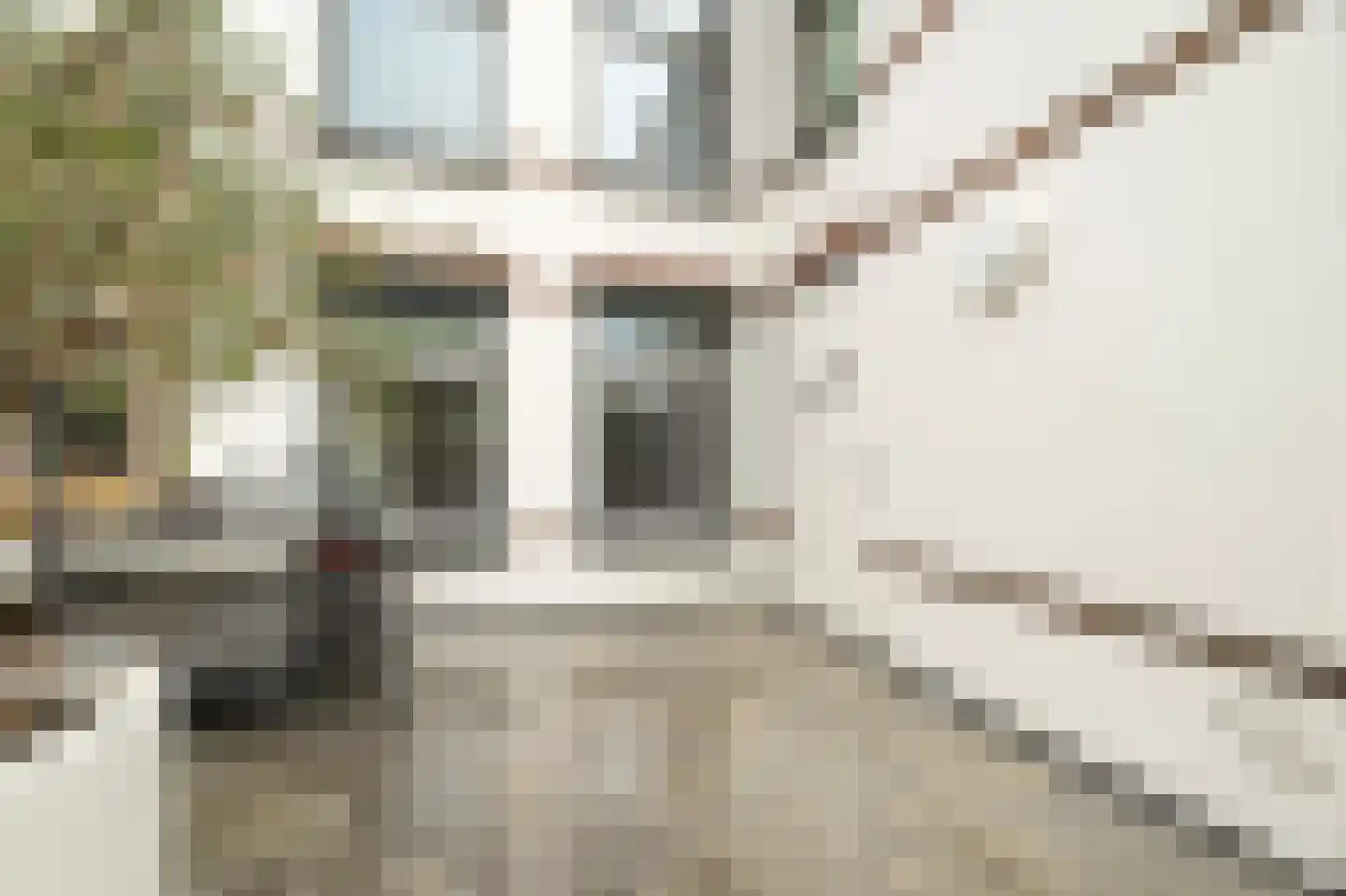 Landbouwstraat 39 Schagen thumbnail 5