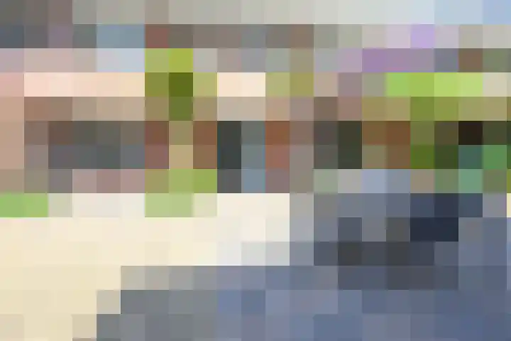 Landbouwstraat 4 L Schagen thumbnail 14