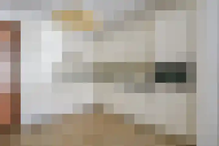 Landbouwstraat 4 L Schagen thumbnail 8