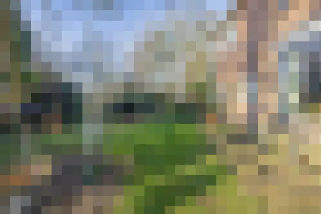 Landbouwstraat 62 Wildervank thumbnail 21