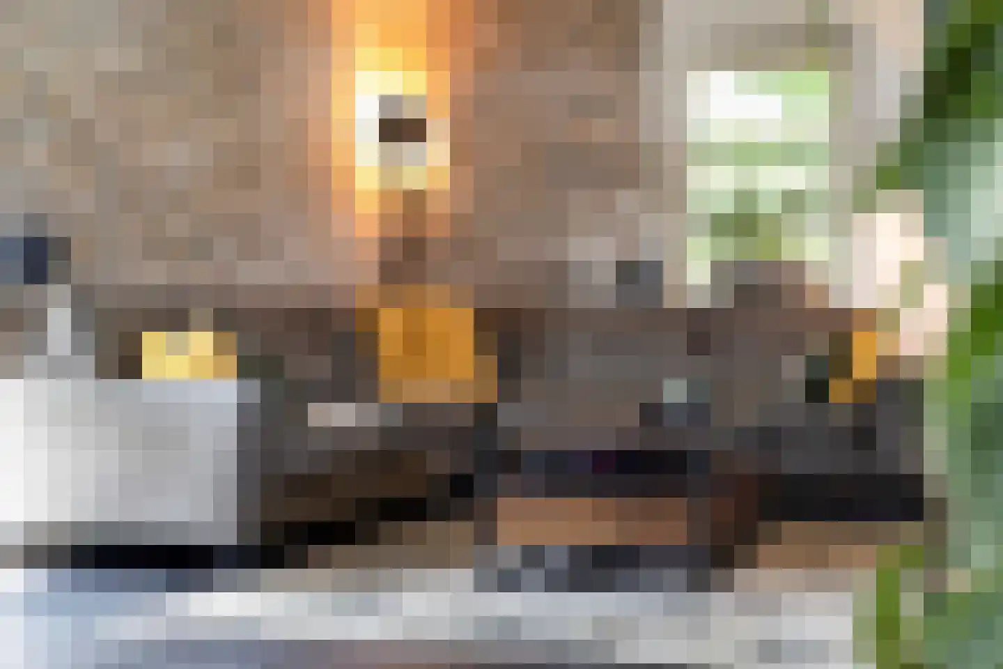 Landdrost 21 Heerenveen thumbnail 13