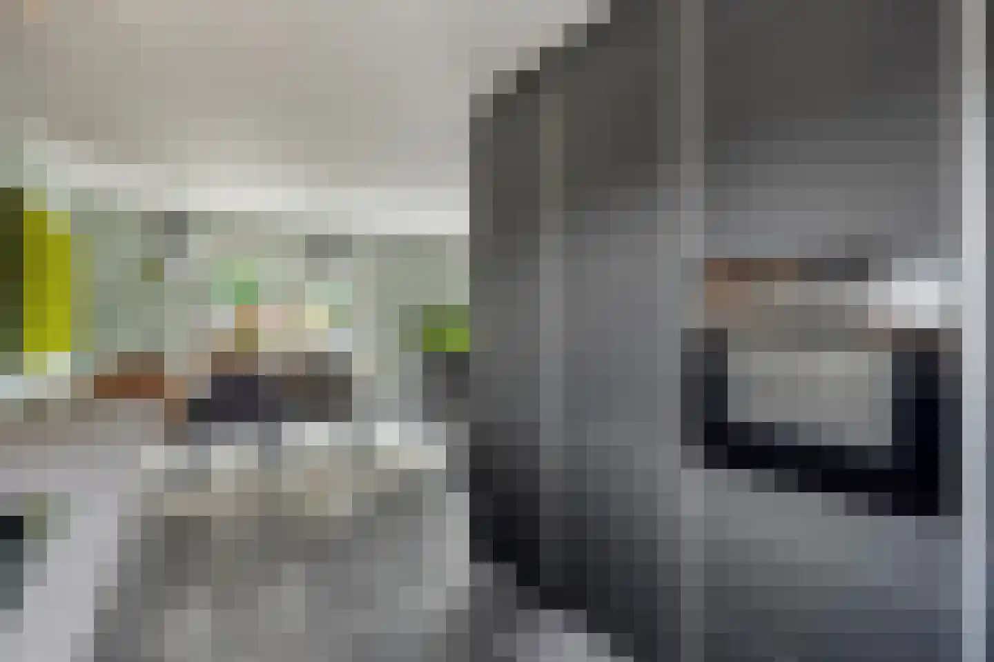 Landdrost 21 Heerenveen thumbnail 17