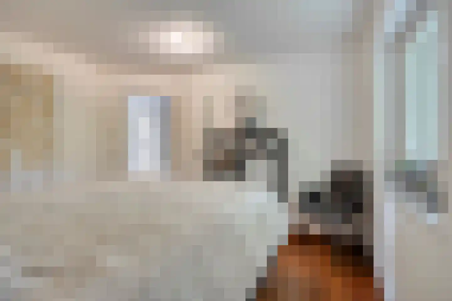 Landdrost 21 Heerenveen thumbnail 26