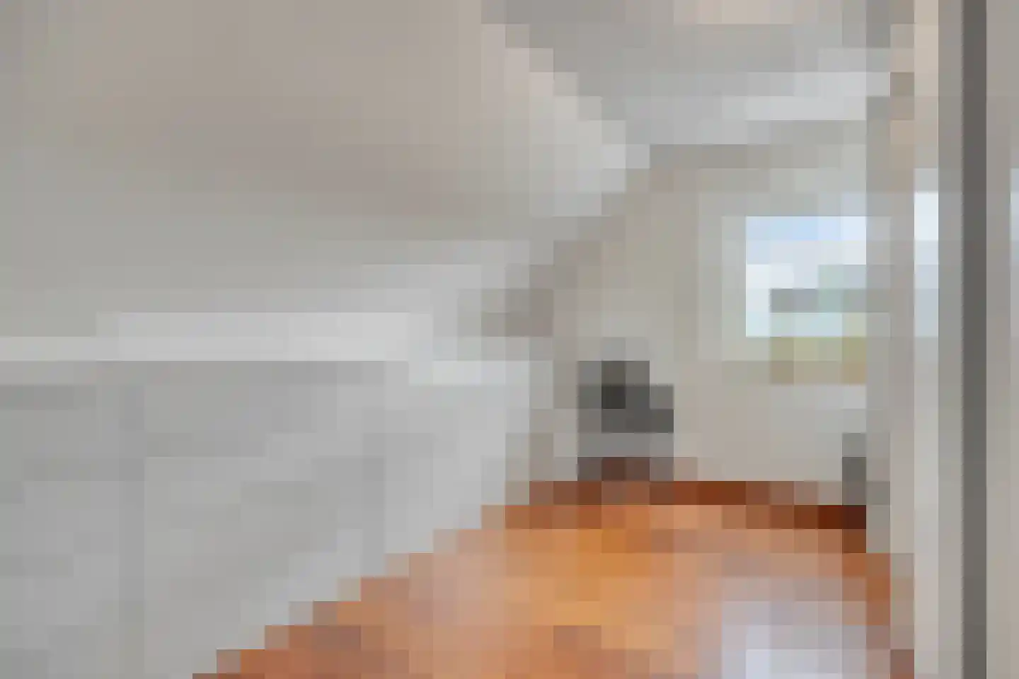 Landdrost 21 Heerenveen thumbnail 28