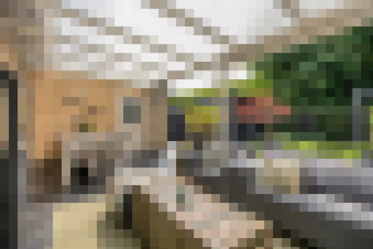 Landdrost 21 Heerenveen thumbnail 29