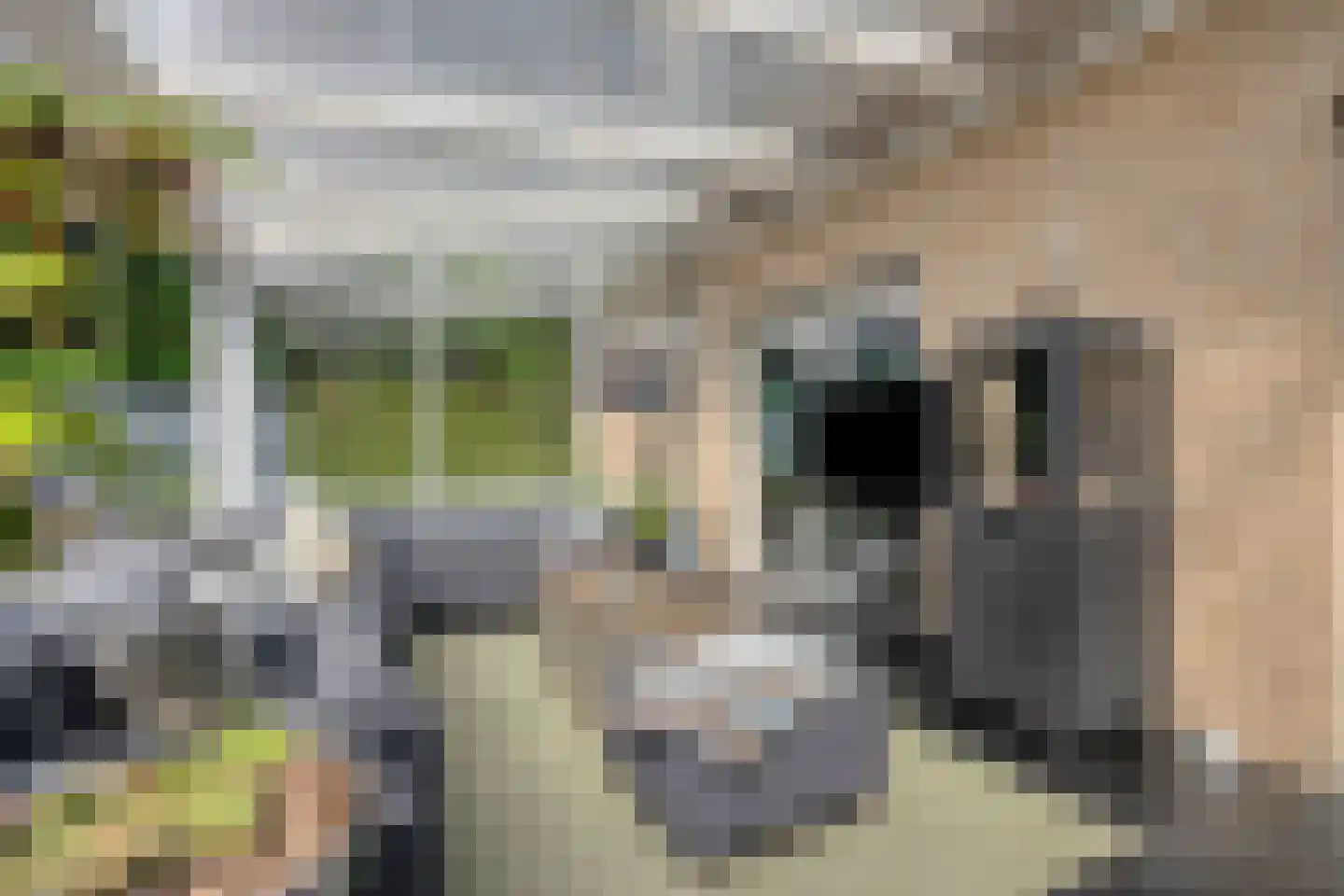 Landdrost 21 Heerenveen thumbnail 31
