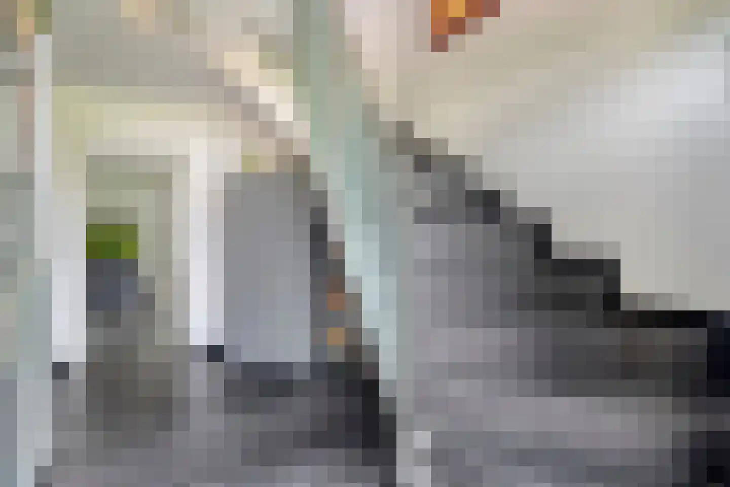 Landdrost 21 Heerenveen thumbnail 7