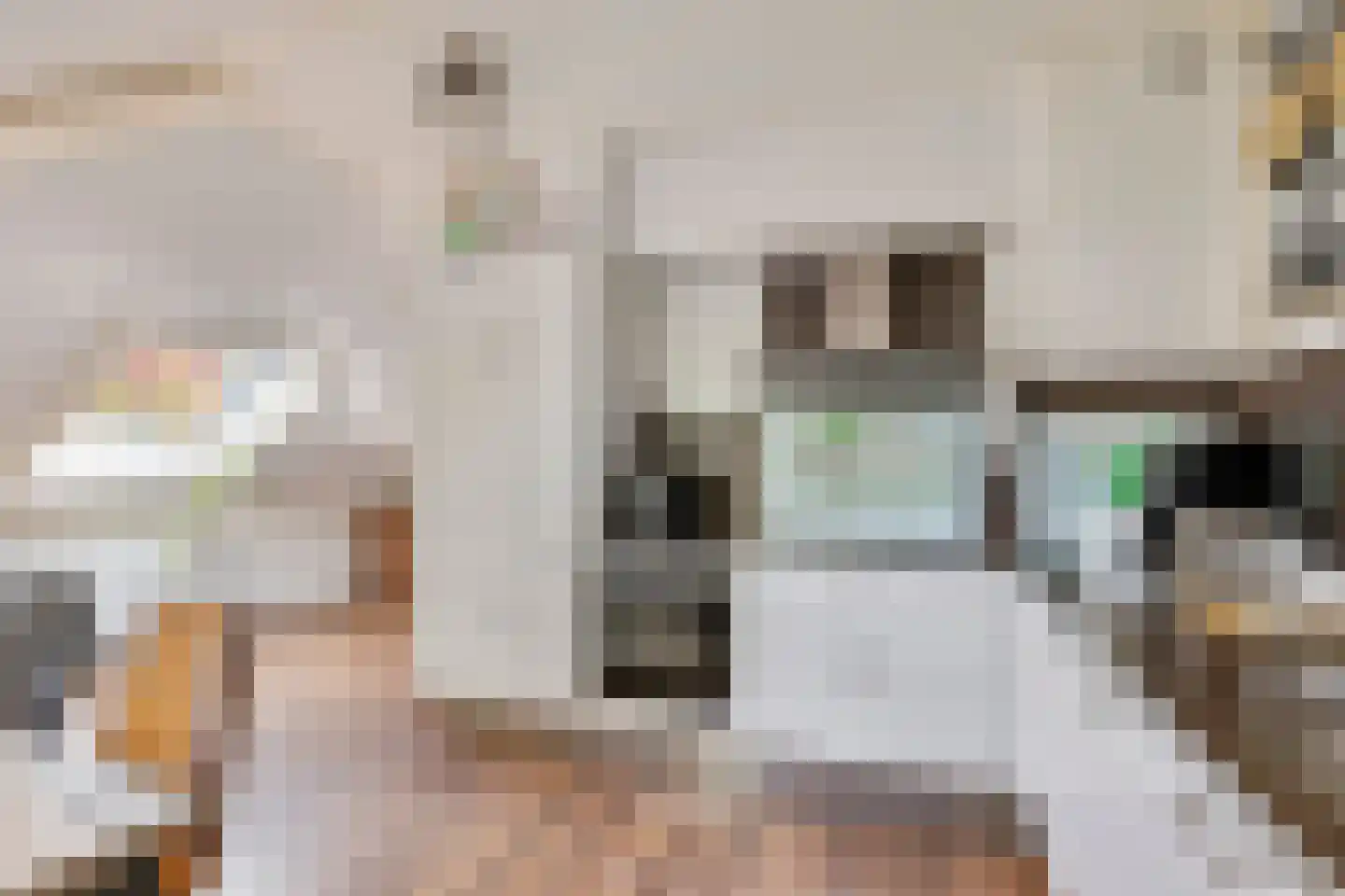 Logo Landelijk-wonen.nl - Ede