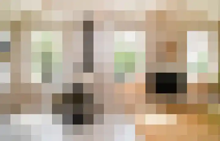 Landerum 19 Landerum thumbnail 10