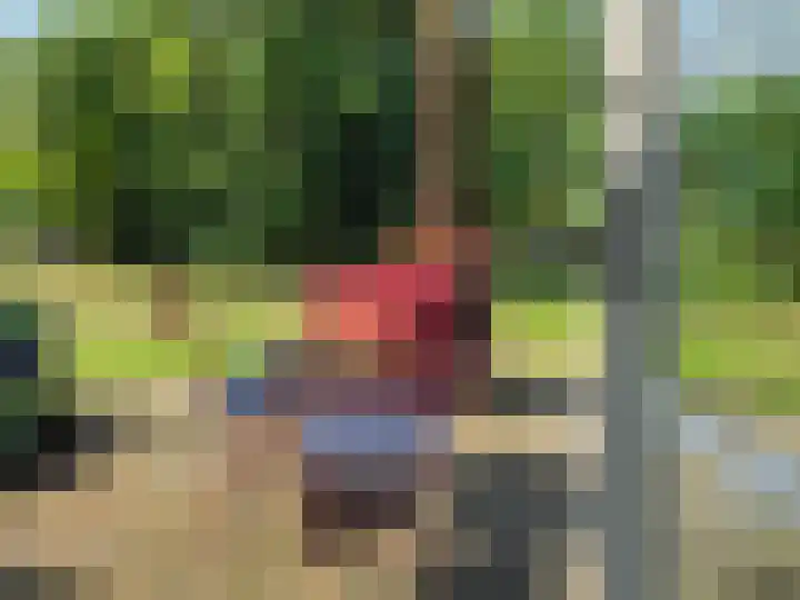 Landerum 19 Landerum thumbnail 14