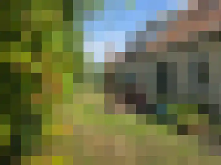 Landerum 19 Landerum thumbnail 15