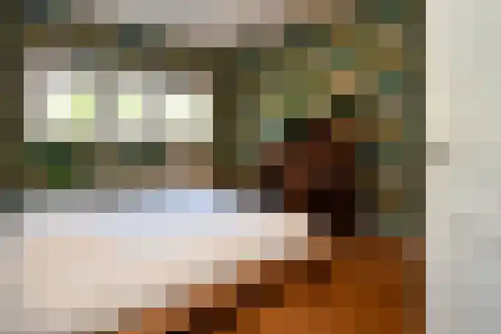 Landerum 19 Landerum thumbnail 26