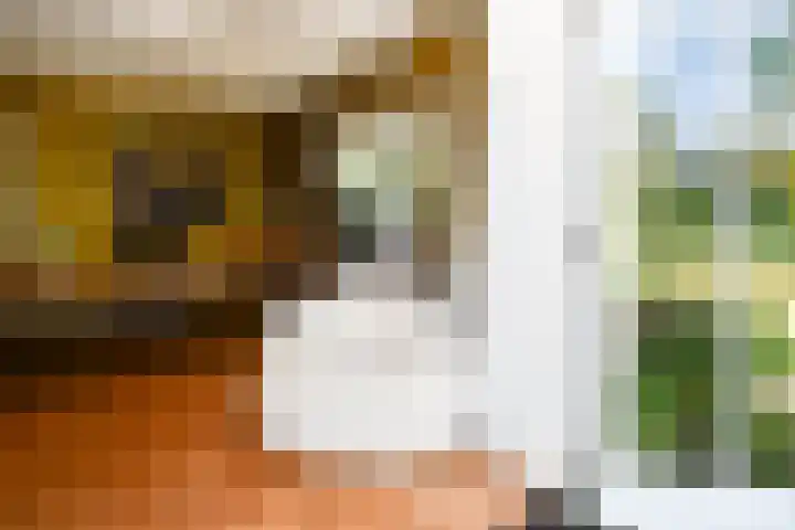 Landerum 19 Landerum thumbnail 32