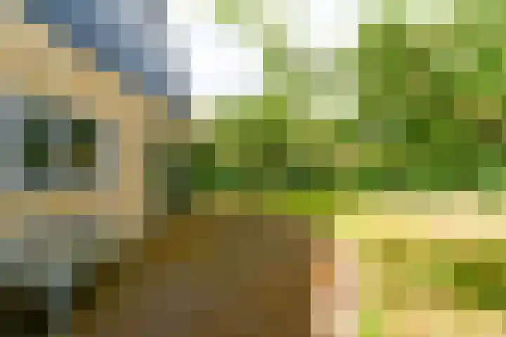 Landerum 19 Landerum thumbnail 34