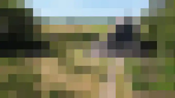 Landerum 19 Landerum thumbnail 35