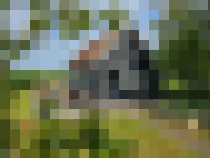 Landerum 19 Landerum thumbnail 37
