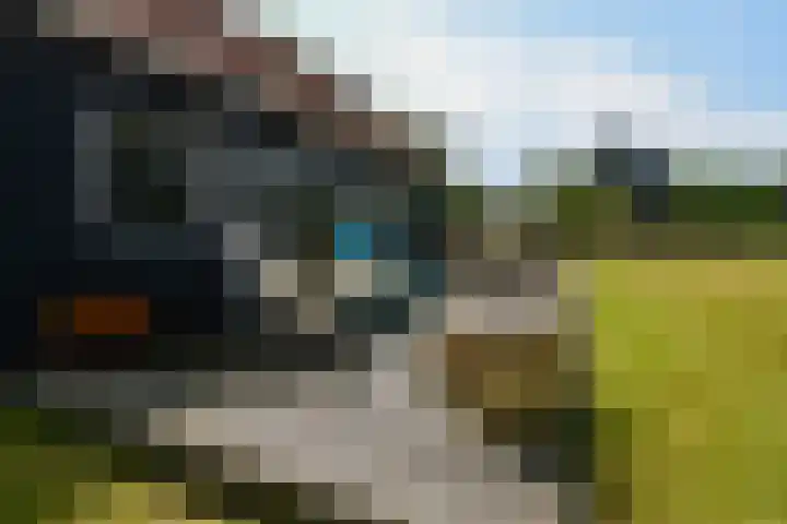 Landerum 19 Landerum thumbnail 39
