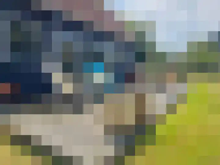 Landerum 19 Landerum thumbnail 45