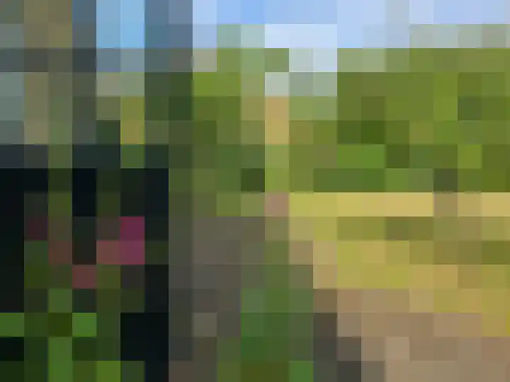 Landerum 19 Landerum thumbnail 49